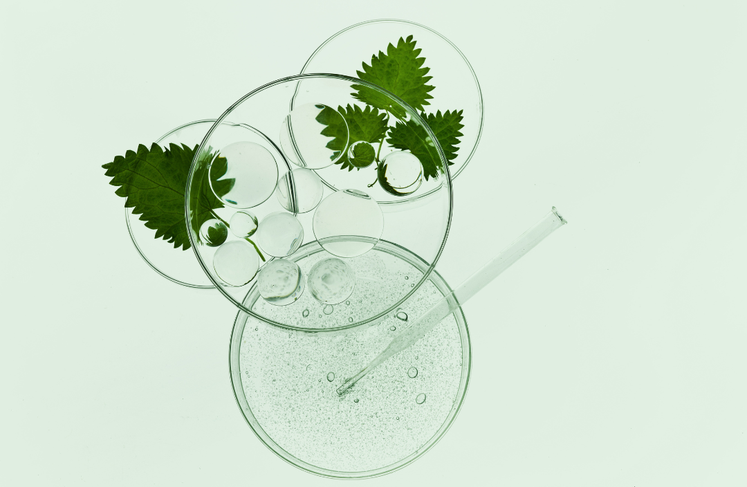 BioNeedling im Charisma Beautycenter